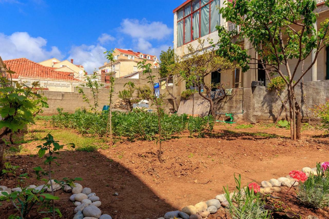 Apartment Hope Dubrovnik Ngoại thất bức ảnh